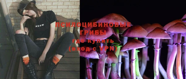 бошки Медвежьегорск