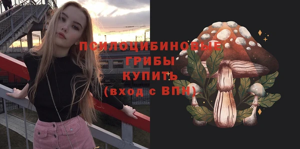 бошки Медвежьегорск
